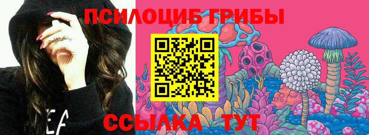 ГАШ  Вход с VPN  LSD-25  APVP СОЛЬ кристаллы  Ишим  Экстази  Бошки Шишки  Магазин наркотиков  КОКАИН  Меф МЯУ МЯУ кристаллы 